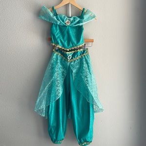 Disney Parks Princess Jasmine costume